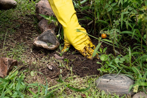 Lavori in giardino indossando guanti gialli