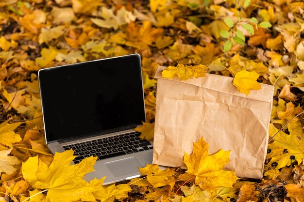 Lavoro a distanza. laptop e pacchetto con consegna di cibo nel parco autunnale