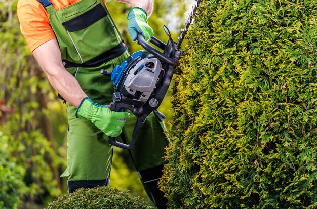 Lavoro di giardiniere topiario