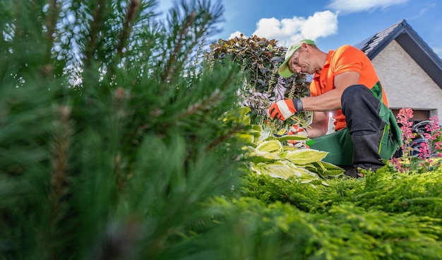 Lavoro in giardino: controllare e tagliare le piante