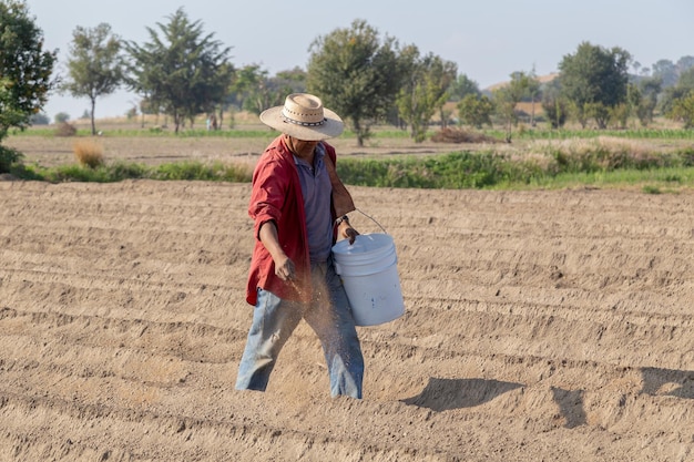 Lavoro sul campo Contadino che sparge letame per nutrire il suolo