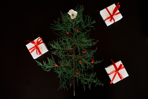 Lay piatto di foglie di aghi a forma di albero di Natale con fiori e bacche, regali scatola albero di Natale decorato su sfondo nero