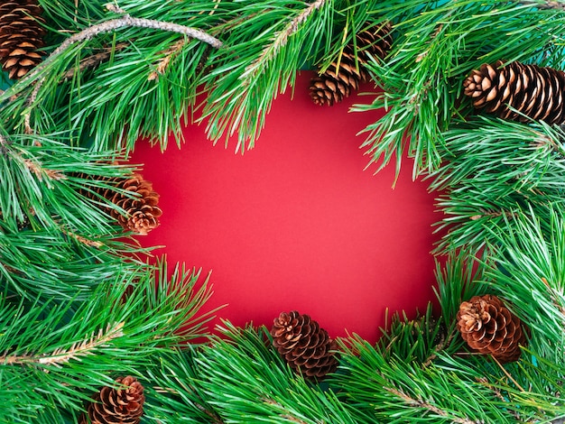 Layout creativo di rami di albero di Natale e coni su uno sfondo rosso