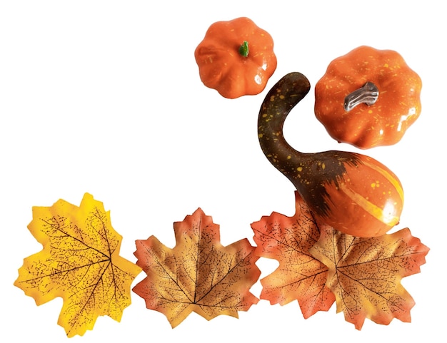 Layout creativo di sfondo autunnale con piccole zucche decorative e foglie autunnali