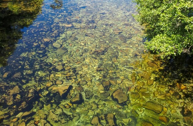 Le acque cristalline e verdastre di un fiume sullo sfondo si possono vedere piene di massi Spagna