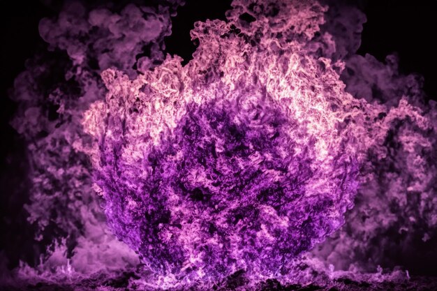 Le affascinanti fiamme viola danzavano con grazia sullo sfondo nero come la pece