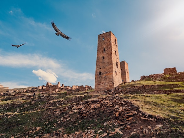 Le aquile sorvolano le rovine e le torri dell'aul fantasma Goor in Daghestan nella luce della sera. Russia.