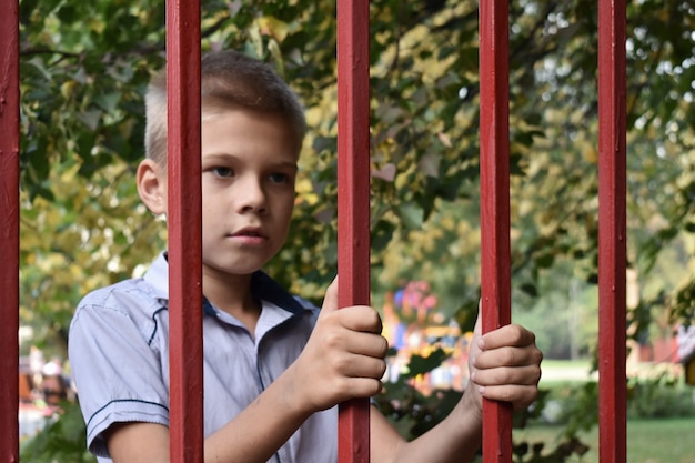 Le autorità di tutela selezionano i bambini.