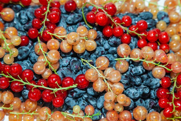 Le bacche di ribes rosso e bianco yoshta giacciono in un mucchio