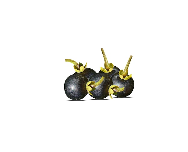 Le bacche e le foglie di Solanum nigrum sono utilizzate come cibo e le parti della pianta come medicina tradizionale