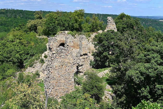 Le belle antiche rovine del castello di Templstejn sulla collina con la valle del fiume Jihlava Moravia meridionale Repubblica Ceca