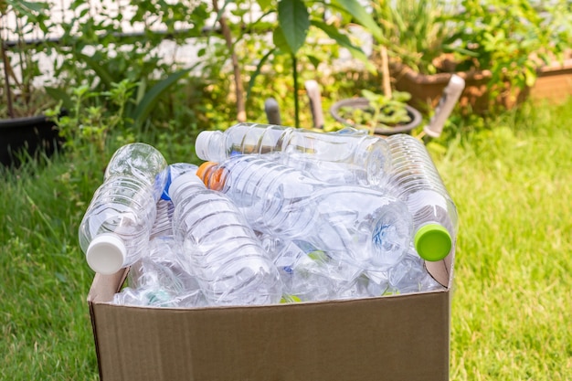 Le bottiglie di plastica in marrone riciclano la scatola della spazzatura