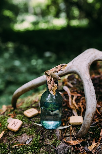 Le bottiglie di vetro sono piene di ingredienti magici pozione misteriosa foresta