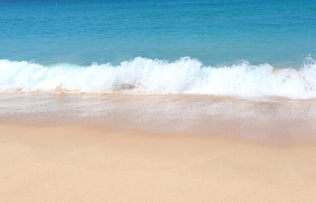 Le calde onde di una spiaggia tropicale lavano la sabbia