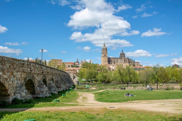 Le cattedrali di Salamanca viste dalla riva del fiume Tormes in primavera