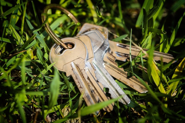 Le chiavi cadute giacciono nell'erba in natura