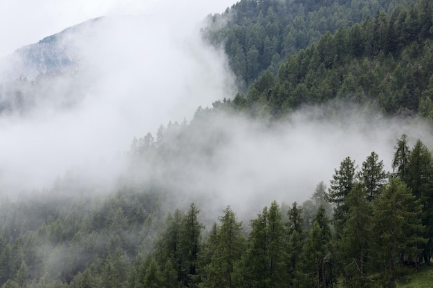 Le colline delle Dolomiti ricoperte da una fitta nebbia