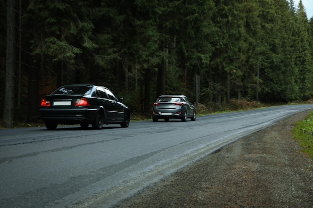 Le concept car di viaggio percorrono la strada nella foresta