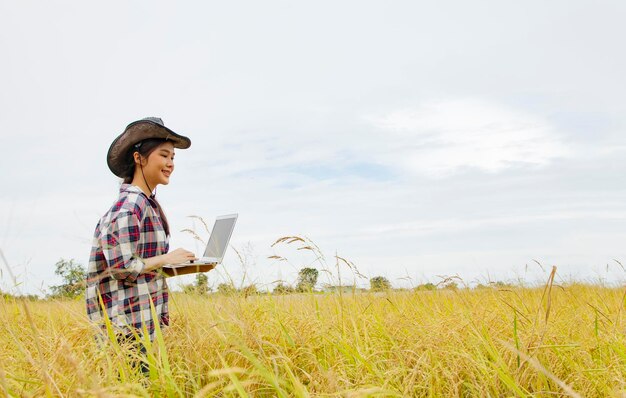 Le contadine asiatiche lavorano in risaie mature utilizzando laptop moderni per archiviare i dati.