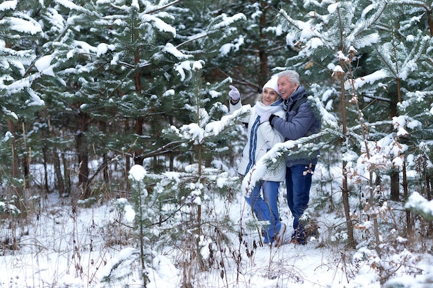 Le coppie mature felici si divertono all'aperto in inverno