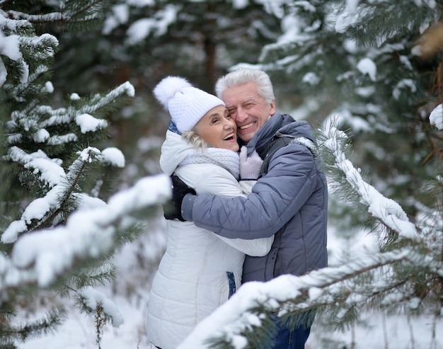 Le coppie mature felici si divertono all'aperto in inverno