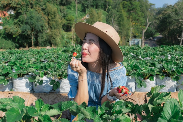 Le donne mangiano fragole nel fruttivendolo.