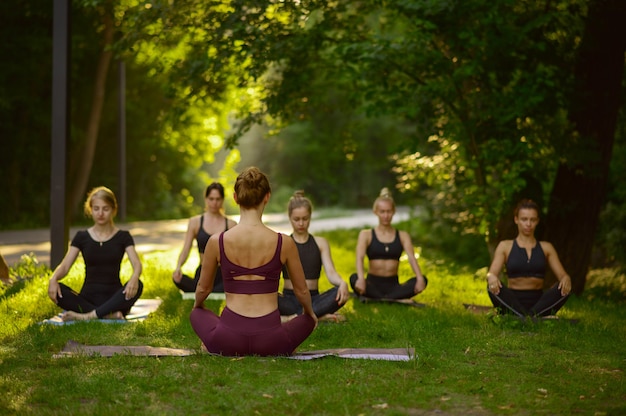 Le donne si siede in posa yoga sull'erba, formazione di gruppo