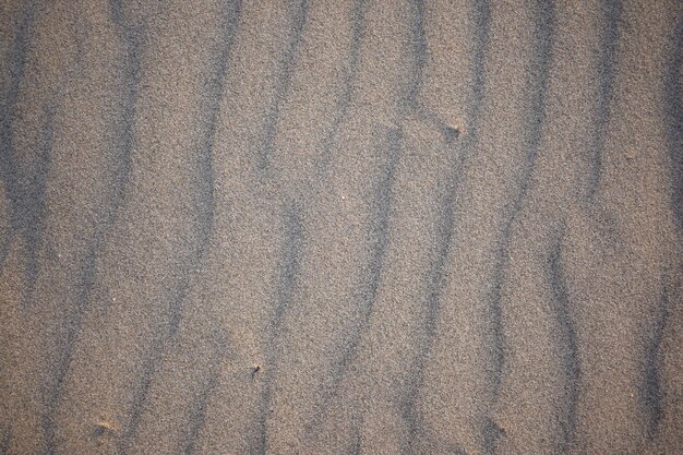 Le dune di sabbia create dal vento sono piatte