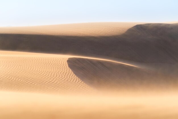 Le dune di sabbia durante il tramonto e il forte vento Paesaggio estivo nel deserto Tempo caldo Linee nella sabbia Paesaggio senza persone