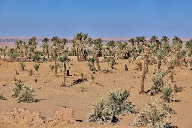 Le dune di Timimun hanno abbandonato la città nel deserto del Sahara, Algeria