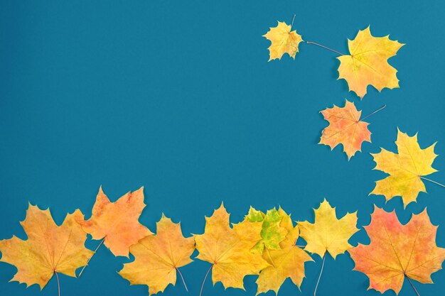 Le foglie d'autunno sono rosse e gialle su un vecchio fondo di legno blu. Il concetto di vacanza, studio.