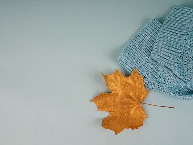 Le foglie dell'oro di autunno hanno dipinto sull'azzurro una coperta calda, il concetto dell'autunno