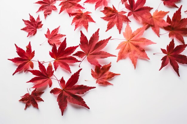 Le foglie di acero rosso isolate su sfondo bianco generano ai