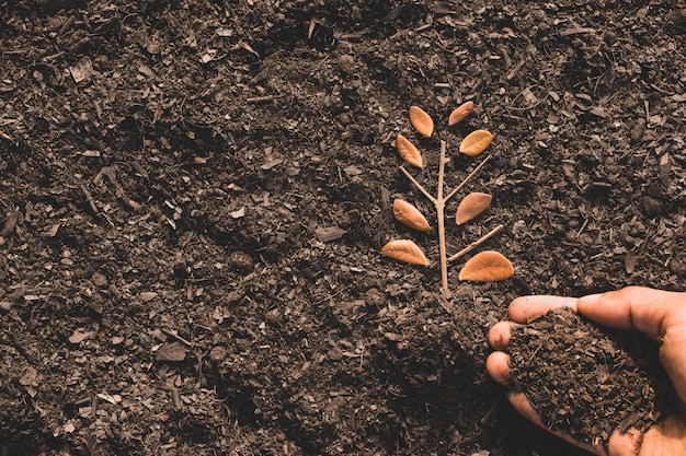 Le foglie sul terreno sciolto e con le mani di un uomo che versa il terreno, l'idea di piantare alberi per l'ambiente.