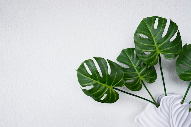 Le foglie verdi della pianta monstera decora l'interno di un appartamento moderno