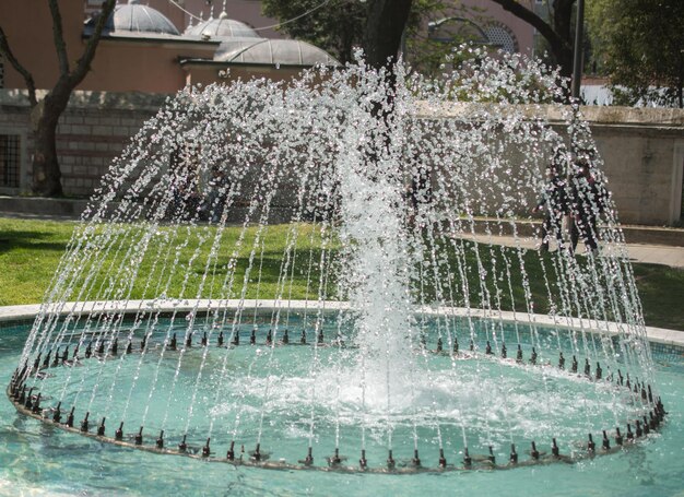 Le fontane zampillano acqua frizzante in una cacca