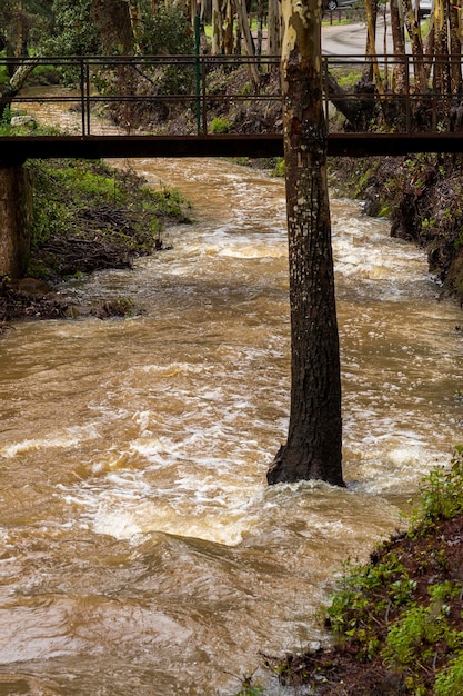 Le forti piogge creano acqua di fiume marrone