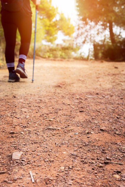 Le gambe dell'escursionista sul sentiero in montagna