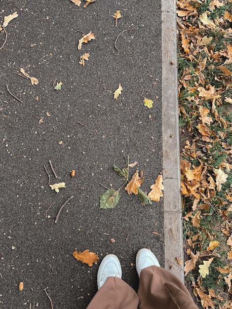 Le gambe delle donne con pantaloni larghi beige e scarpe da ginnastica bianche si trovano su un sentiero asfaltato su cui giacciono le foglie d'autunno