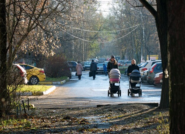 Le giovani donne camminano con i passeggini in una soleggiata giornata autunnale