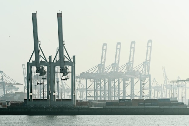 Le gru nel porto contro il cielo