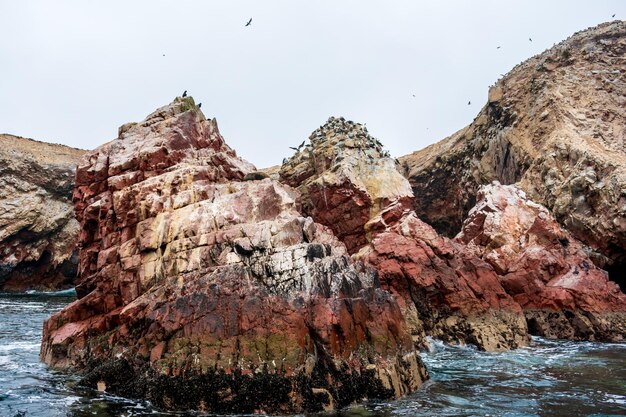 Le Isole Ballestas, un gruppo di isole vicino alla città di Pisco, in Perù.