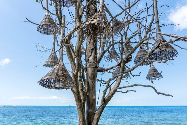 Le lampade in legno e decorative sono appese a un vecchio albero su una spiaggia tropicale vicino all'acqua di mare nell'isola paradisiaca di Koh Phangan, Thailandia. Concetto di viaggio, primo piano