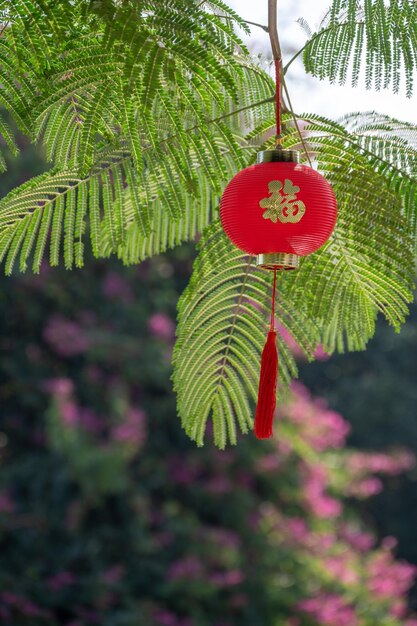 Le lanterne rosse sono appese agli alberi sotto il cielo blu con la parola cinese Fu che significa fortunato