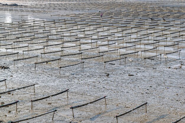 Le linee e le trame del telaio in legno e della corda nella fattoria di laver sono sulla spiaggia nei giorni nuvolosi