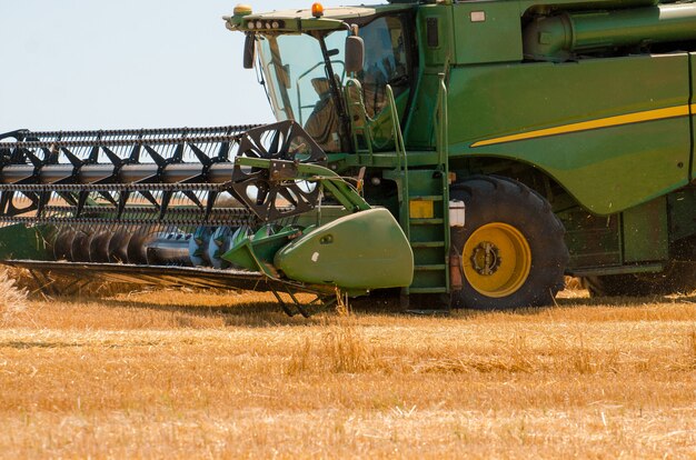 Le macchine agricole raccolgono il raccolto di grano giallo in pieno campo