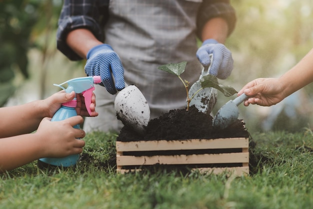 Le mani dei bambini stanno piantando vari alberelli di piante in vasi da piantare nel terreno