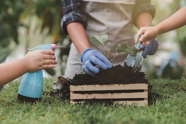 Le mani dei bambini stanno piantando vari alberelli di piante in vasi da piantare nel terreno