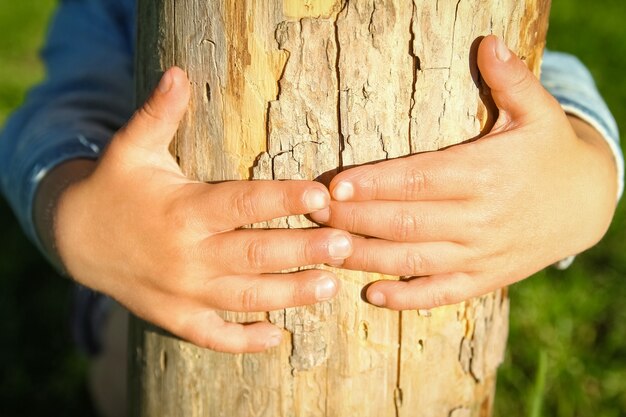 Le mani dei bambini tengono un ceppo nel parco in natura