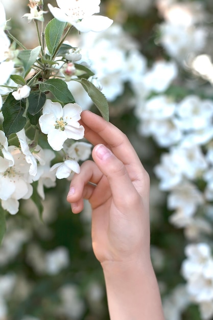 Le mani dei bambini tengono un mazzo di fiori nelle loro mani su uno sfondo naturale sfocato un mazzo di fiori freschi fotografia verticale